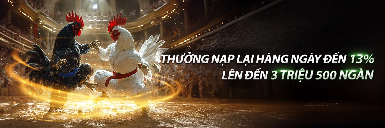 Đá Gà Thomo Trực Tiếp 388 – Sân đấu sôi động